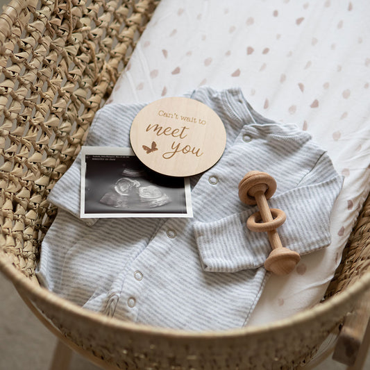 Pregnancy Wooden Milestone Discs